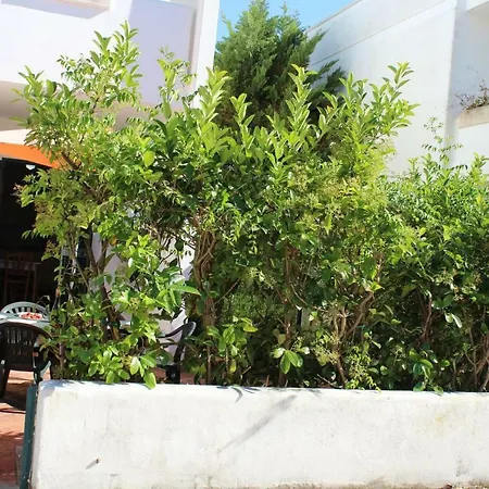 公寓 Francesca 加利波利